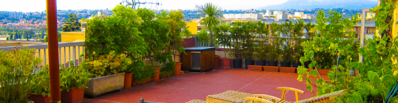 Post With Large Image